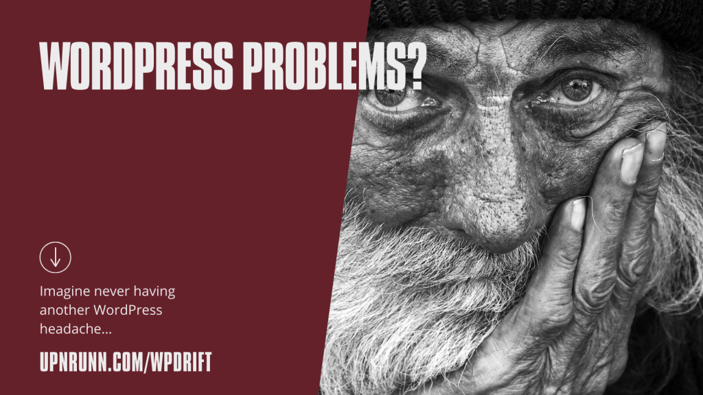 Imagine never having another WordPress headache…